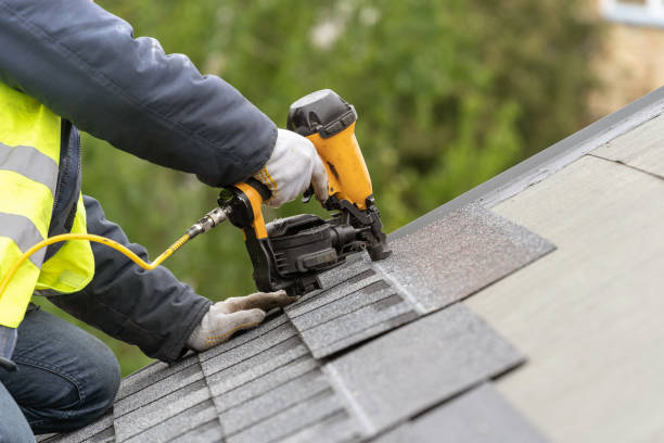 Best Roof Ventilation Installation  in Tidmore Bend, AL