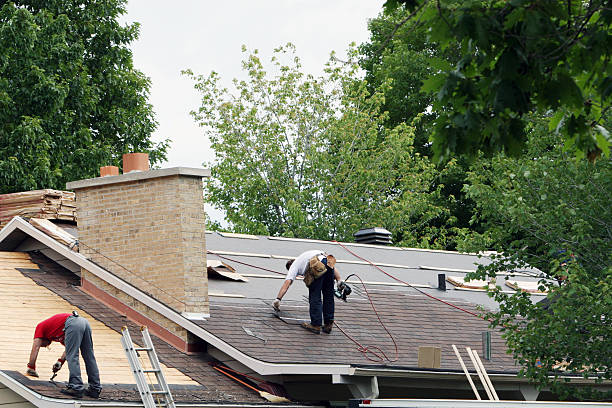 Best Storm Damage Roof Repair  in Tidmore Bend, AL