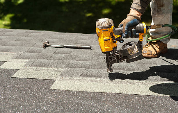 Best Storm Damage Roof Repair  in Tidmore Bend, AL