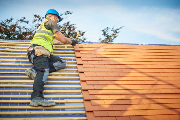 Best Sheet Metal Roofing  in Tidmore Bend, AL